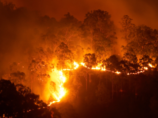 Insurance's Wildfire Crisis: Three Keys to Rethinking Risk, Response